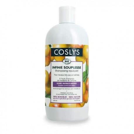 SHAMPOOING CHVX SECS ABIMES 500 ml | COSLYS | Acheter sur EtiketBio.eu