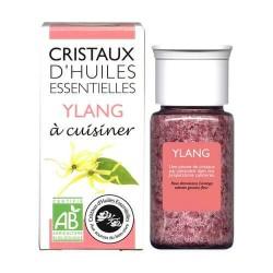 Cristaux huile essentielle ylang Aromandise  dans votre magasin bio en ligne Etiketbio.eu