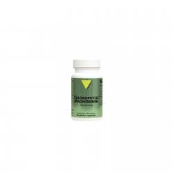 CHLOROPHYLE MAGNESIENNE 200MG 60GEL VITALL +  dans votre magasin bio en ligne Etiketbio.eu