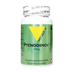 PYCNOGENOL 50MG 30GELS VITALL +  dans votre magasin bio en ligne Etiketbio.eu
