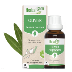 Olivier bio 30 ml Herbalgem  dans votre magasin bio en ligne Etiketbio.eu