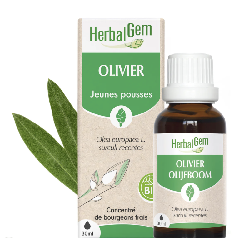 Olivier bio 30 ml Herbalgem dans votre magasin bio en ligne Etiketbio.eu Olivier bio 30 ml Herbalgem dans votre magasin bio en ligne Etiketbio.eu