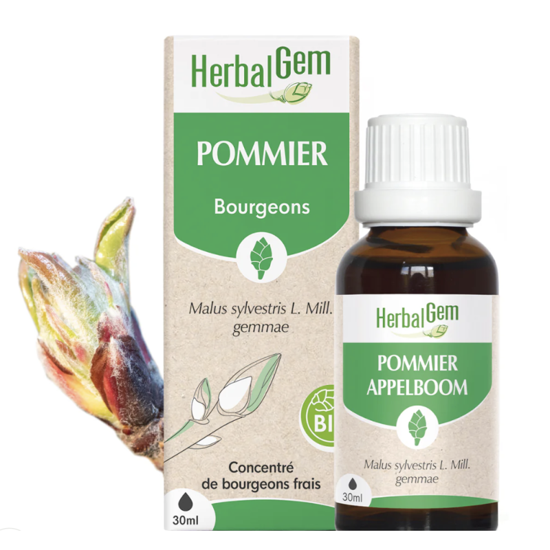 Pommier bio 30 ml Herbalgem dans votre magasin bio en ligne Etiketbio.eu Pommier bio 30 ml Herbalgem dans votre magasin bio en ligne Etiketbio.eu