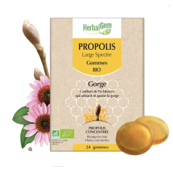 PROPOLIS LARGE SPECTRE BIO 24 GOM HERBALGEM dans votre magasin bio en ligne Etiketbio.eu