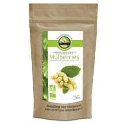 Mulberries blanches bio 100g Ecoidées  dans votre magasin bio en ligne Etiketbio.eu