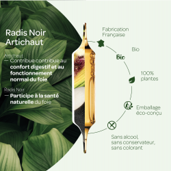 OFFRE RADIS NOIR ARTICHAUT BIO 20+10 AMPOULES Super Diet  dans votre magasin bio en ligne Etiketbio.eu