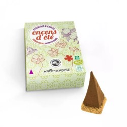 Encens d'ete 10 pyramides Les encens du monde  dans votre magasin bio en ligne Etiketbio.eu