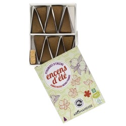 Encens d'ete 10 pyramides Les encens du monde  dans votre magasin bio en ligne Etiketbio.eu