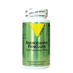 Andrographis 500mg extrait standardisé Vit'all +  dans votre magasin bio en ligne Etiketbio.eu