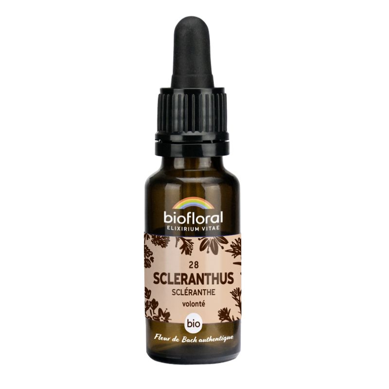 Elixir 28 scleranthe bio- 20 ml Biofloral dans votre magasin bio en ligne Etiketbio.eu Elixir 28 scleranthe bio- 20 ml Biofloral dans votre magasin bio en ligne Etiketbio.eu