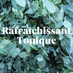 Déodorant Solide Menthe Eucalyptus 50g Pimpant  dans votre magasin bio en ligne Etiketbio.eu