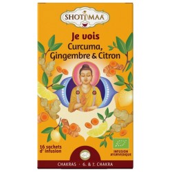 Infusion je vois(gingembre citron)x16 Shoti Maa  dans votre magasin bio en ligne Etiketbio.eu