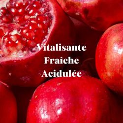 Déodorant grenade stick 50g – Pimpant Pimpant  dans votre magasin bio en ligne Etiketbio.eu