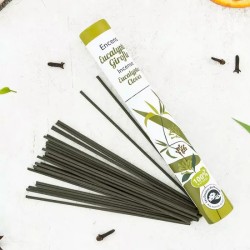 Encens Végétal Eucalyptus Girofle – Les Encens du Monde Les encens du monde  dans votre magasin bio en ligne Etiketbio.eu