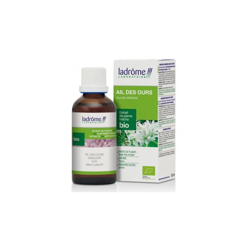 Teinture Mère Ail des Ours Bio 50ml – Ladrôme Ladrôme  dans votre magasin bio en ligne Etiketbio.eu
