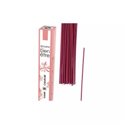 Encens Aromambiance Ylang x30 – Les Encens du Monde Les encens du monde  dans votre magasin bio en ligne Etiketbio.eu