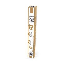 Encens Aromambiance Cannelle – Les Encens du Monde Les encens du monde  dans votre magasin bio en ligne Etiketbio.eu