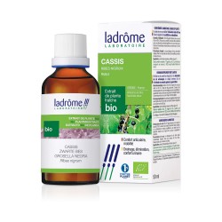 Teinture Mère Cassis Bio 50ml – Ladrôme Ladrôme dans votre magasin bio en ligne Etiketbio.eu