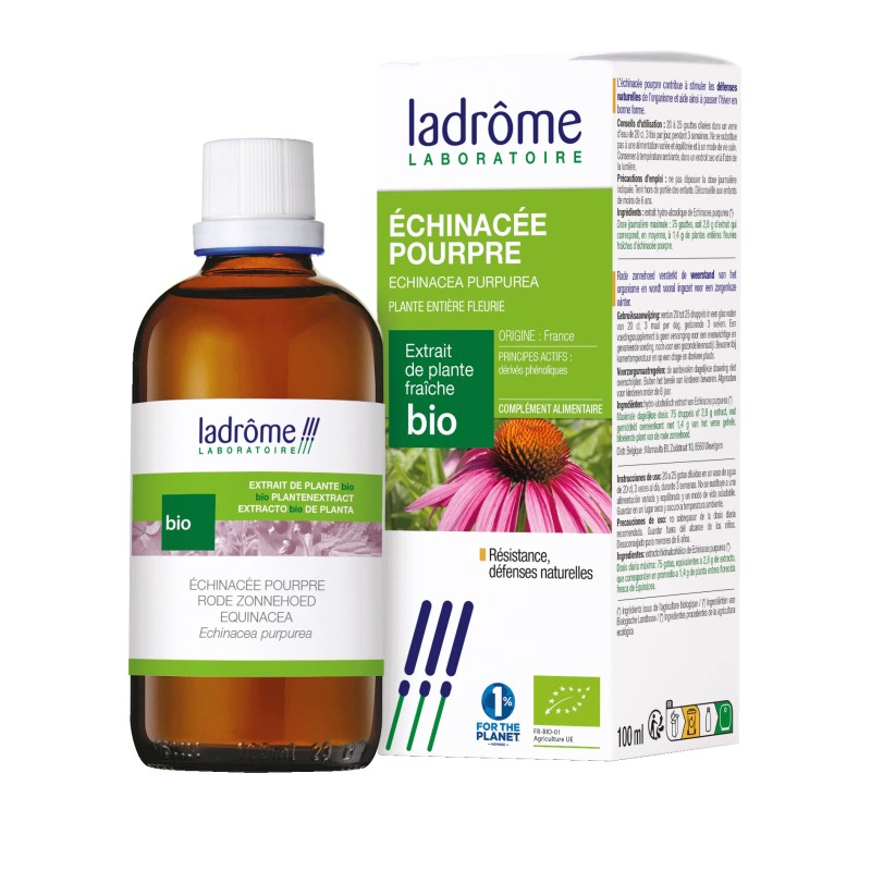 Teinture Mère Échinacée Bio 100ml – Ladrôme