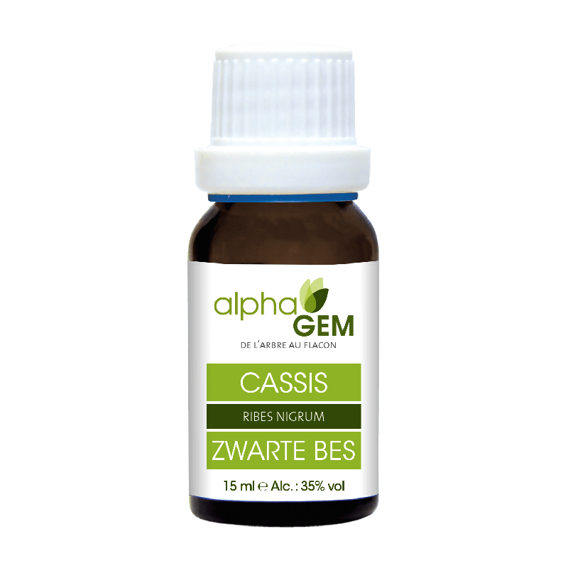 Duo Cassis Bio 15ml – Alphagem Alphagem  dans votre magasin bio en ligne Etiketbio.eu