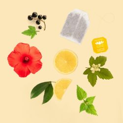 Confort urinaire Romon Nature – 20 sachets Romon Nature  dans votre magasin bio en ligne Etiketbio.eu