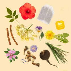 Détox Nature Romon Nature – 50 sachets Romon Nature  dans votre magasin bio en ligne Etiketbio.eu