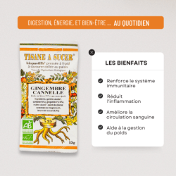Biopastille Gingembre Cannelle – 15 g Biopastille  dans votre magasin bio en ligne Etiketbio.eu