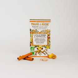 Biopastille Gingembre Cannelle – 15 g Biopastille  dans votre magasin bio en ligne Etiketbio.eu