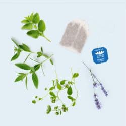 Sommeil nature – Romon Nature 50 sachets Romon Nature  dans votre magasin bio en ligne Etiketbio.eu