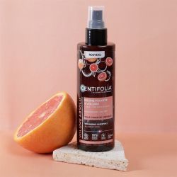 Brume fixante & volume Centifolia 200 ml Centifolia  dans votre magasin bio en ligne Etiketbio.eu Brume fixante & volume Centifolia 200 ml Centifolia  dans votre magasin bio en ligne Etiketbio.eu