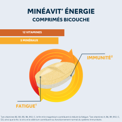 Minéavit Énergie Dietaroma – 30 comp Dietaroma  dans votre magasin bio en ligne Etiketbio.eu