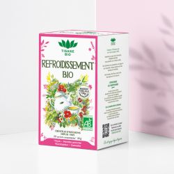 Tisane Refroidissement bio Romon Nature – 20 sachets Romon Nature  dans votre magasin bio en ligne Etiketbio.eu