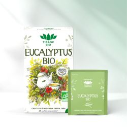 Eucalyptus bio Romon Nature – 20 sachets Romon Nature  dans votre magasin bio en ligne Etiketbio.eu