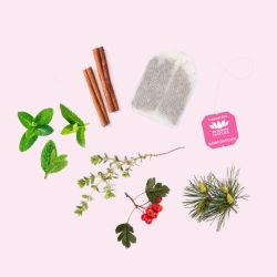 Tisane Respiratoire bio Romon Nature Romon Nature  dans votre magasin bio en ligne Etiketbio.eu