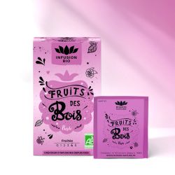 Fruits des bois bio Romon Nature – 16 sachets Romon Nature  dans votre magasin bio en ligne Etiketbio.eu