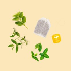 Digestion Nature bio format éco Romon Nature