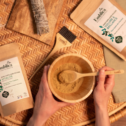Soin capillaire poudre Vitalité Emblica 100g Emblica  dans votre magasin bio en ligne Etiketbio.eu