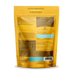 Protéine vegan banane bio Iswari 250g Iswari  dans votre magasin bio en ligne Etiketbio.eu