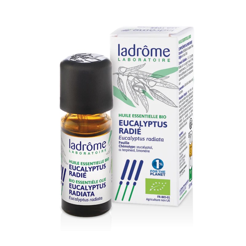 Huile essentielle Eucalyptus radié bio 10 ml – Ladrôme Ladrôme  dans votre magasin bio en ligne Etiketbio.eu