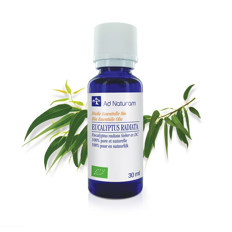Huile essentielle Eucalyptus radiata Ad Naturam 30 ml Ad naturam  dans votre magasin bio en ligne Etiketbio.eu