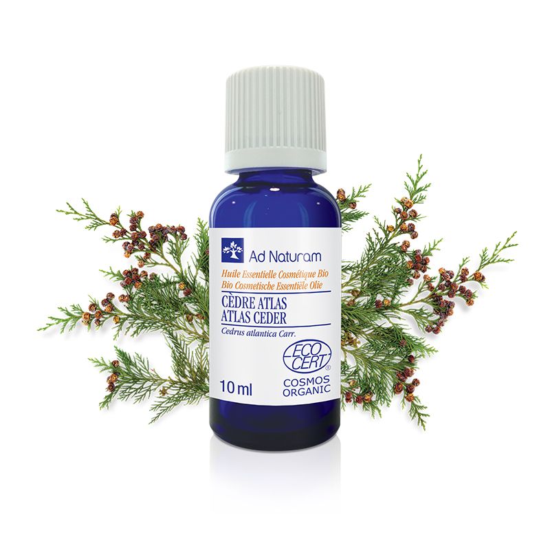 Huile essentielle Cèdre de l’Atlas bio 10 ml – Ad Naturam Ad naturam  dans votre magasin bio en ligne Etiketbio.eu