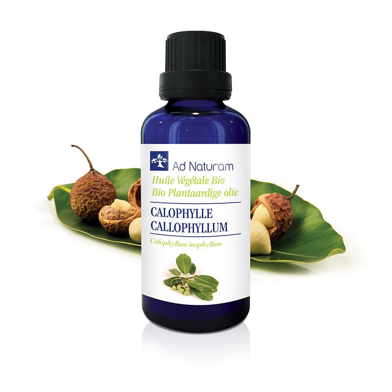 Huile de calophylle bio Ad Naturam 50 ml Ad naturam  dans votre magasin bio en ligne Etiketbio.eu