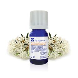 Huile essentielle Lédon Groenland Ad Naturam 2 ml Ad naturam  dans votre magasin bio en ligne Etiketbio.eu