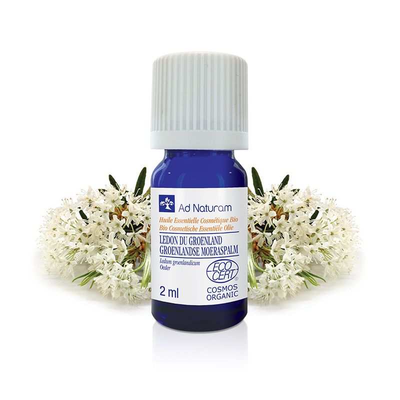 Huile essentielle Lédon Groenland Ad Naturam 2 ml Ad naturam  dans votre magasin bio en ligne Etiketbio.eu