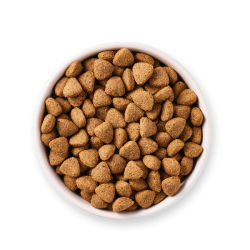 Croquettes vegan chien huile coco baobab – Yarrah 2 kg Yarrah  dans votre magasin bio en ligne Etiketbio.eu