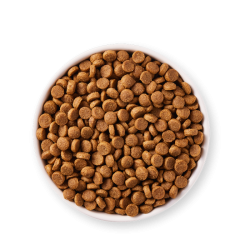 Croquettes chiot poulet bio – Yarrah 2 kg Yarrah  dans votre magasin bio en ligne Etiketbio.eu