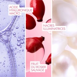 Gel crème hydra repulpant 40 ml – Melvita Melvita   dans votre magasin bio en ligne Etiketbio.eu