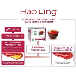 Thé Hao Ling Pagode 90 infusions
