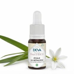 Fleur de Bach Étoile de Bethléem DEVA 15ml DEVA  dans votre magasin bio en ligne Etiketbio.eu