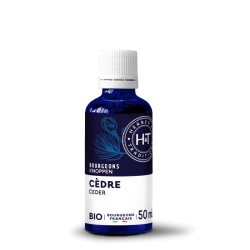 Bourgeons de Cèdre bio Herbes & Traditions 50ml Herbes et Traditions  dans votre magasin bio en ligne Etiketbio.eu